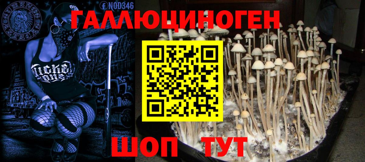 Псилоцибиновые грибы MAGIC MUSHROOMS Чехов