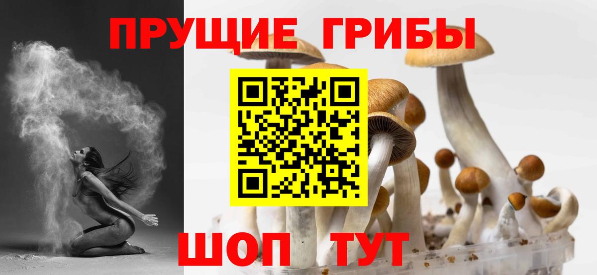 наркошоп  Вход с VPN  Чехов  Галлюциногенные грибы Cubensis 
